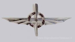 Aile argentée avec couronne