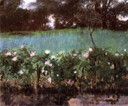 Paysage avec treillis rose