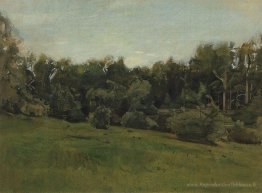 Edge de la forêt. Ligovo