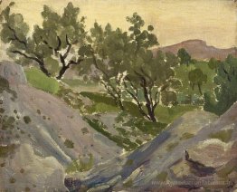 Olives en Espagne