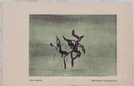 Pour toujours (mouvement hypnagogique)