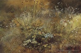 Herbe