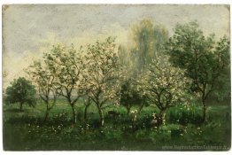Pommiers en fleur