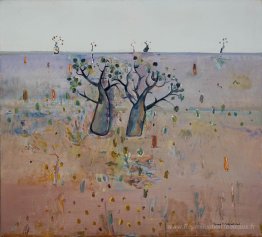 Boab, Kimberley