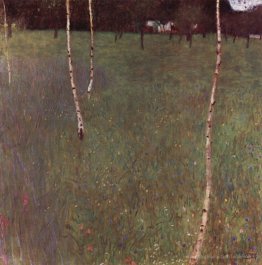 Fermes avec bouleau