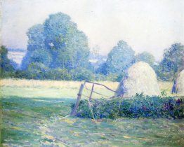 Après-midi de juillet