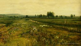 Un vaste paysage des prairies avec des oies par un ruisseau