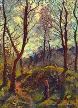 Paysage avec de grands arbres