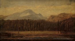 Paysage avec une maison frontalière