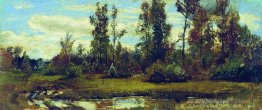 Lac dans la forêt