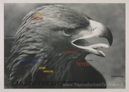 Terre de l'aigle tacheté