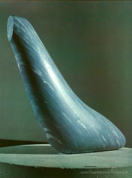 Le phoque