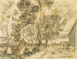 Un coin de l'asile et du jardin avec un arbre lourd et scié