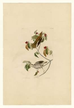 Assiette 73 Chauveau en bois