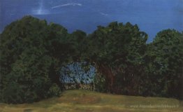 Paysage d'été