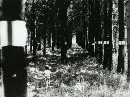 Bois programmé