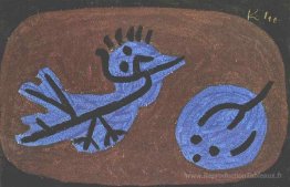 Citrouille de l'oiseau bleu