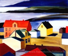 Village islandais