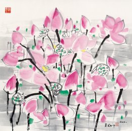 Lotus sous le soleil