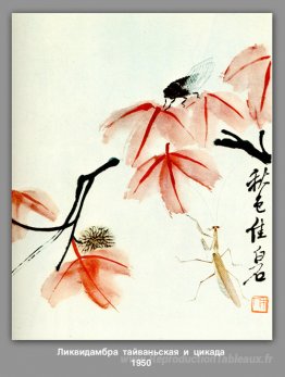 Likvidambra taiwan et la cigale
