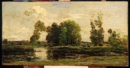 L'étang
