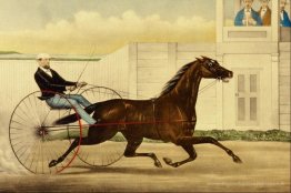 La célèbre jument trotting Lucy