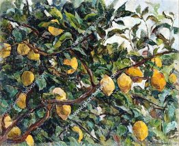 Italie. Citrons sur les branches.