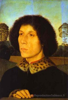 Portrait d'un homme dans un paysage