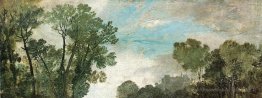 Tops d'arbre et ciel, château de Guildford