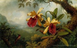 Orchidées et colibris