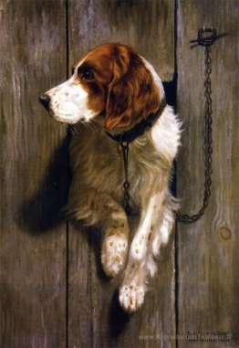 À la porte du chenil