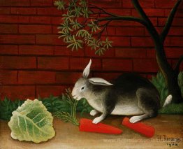 Lapin