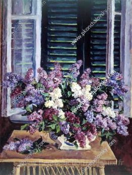 Nature morte. Lilas contre les volets verts.