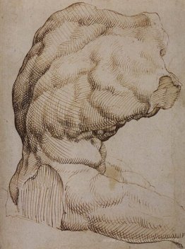 Le torse du belvédère