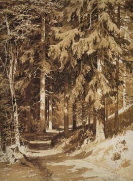 Path dans la forêt