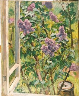 Nature morte. Lilas dans la fenêtre.
