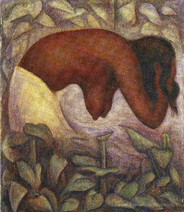 Bailleur de tehuantepec