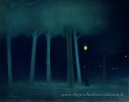 Un parc la nuit