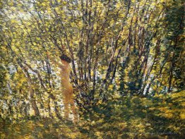 Nu dans le bois ensoleillé