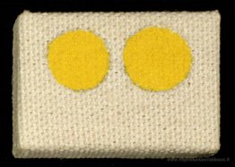 Micro-peinture