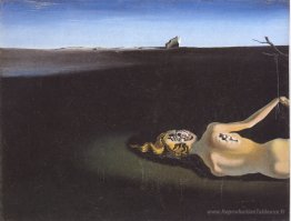 Femme dormant dans un paysage