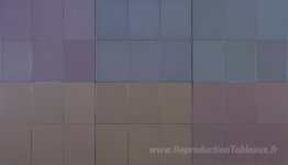 Microchromie, Gris Puisse [6]