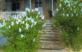 Printemps. Lilas blancs.