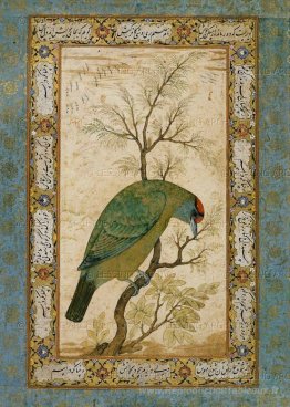 Un barbet (oiseau à gorge bleu de l'Himalaya)