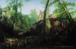 Pierre dans la forêt près du déversement