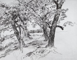 Des arbres