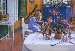 Intérieur avec un cactus