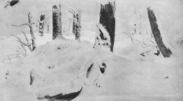 Forêt sous la neige