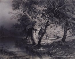 Forêt près du lac, illuminée par le soleil