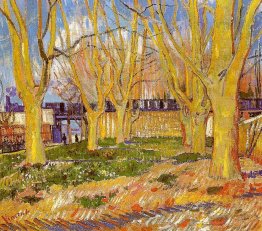 Avenue d'arbres avion près de la gare d'Arles